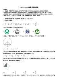 2021-2022学年山东省莱州市中考数学对点突破模拟试卷含解析