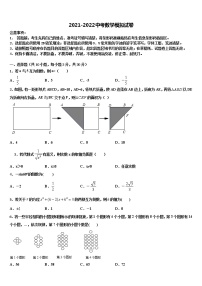 2021-2022学年山东省济宁市田家炳中学中考一模数学试题含解析