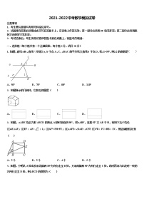 2021-2022学年山东省青岛市开发区实验达标名校中考数学考试模拟冲刺卷含解析