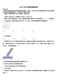 2021-2022学年山东省聊城市城区达标名校中考适应性考试数学试题含解析