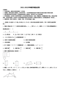 2021-2022学年山东省青岛大附属中学中考二模数学试题含解析