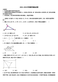 2021-2022学年山东省新泰市新甫中学中考数学最后一模试卷含解析