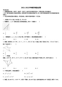 2021-2022学年山东省聊城临清市中考数学适应性模拟试题含解析