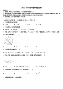 2021-2022学年山东省泰安市高新区达标名校中考数学模试卷含解析