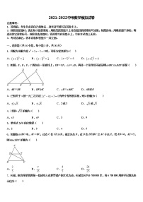 2021-2022学年山东省淄博市张店区重点达标名校中考二模数学试题含解析