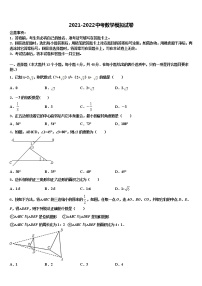 2022届安徽省合肥高新区达标名校中考数学全真模拟试卷含解析