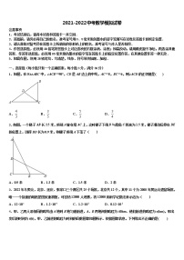 2022届安徽省合肥市第四十五中学中考数学仿真试卷含解析