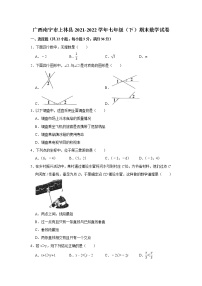 +广西南宁市上林县2021-2022学年七年级下学期期末数学试卷