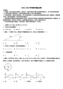2022届福建省福州市平潭县市级名校中考数学模拟试题含解析
