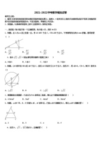 2022届福建省宁化城东中学中考数学模拟精编试卷含解析