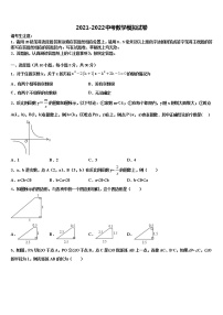 2022届广东省揭阳产业园实验中学中考冲刺卷数学试题含解析