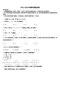 2022届广东省深圳市龙文教育中考数学模拟预测试卷含解析