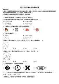 2022届广东省深圳市龙岗区深圳龙城初级中学中考一模数学试题含解析