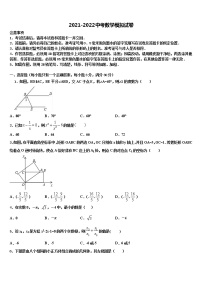 2022届广东省汕头潮阳区五校联考中考数学对点突破模拟试卷含解析