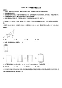 2022届广东省阳江市教育局教研究室重点名校中考适应性考试数学试题含解析