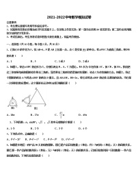 2022届广东省深圳市福田区北环中学中考数学对点突破模拟试卷含解析