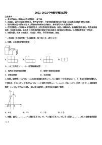 2022届广东省阳江二中学中考数学考试模拟冲刺卷含解析