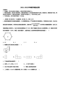 2022届广东省佛山市三水区市级名校中考数学对点突破模拟试卷含解析