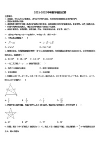 2022届广东省深圳市龙岗区龙城初级中学中考数学最后一模试卷含解析