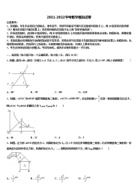 2022届河北省沧州市沧县中考数学全真模拟试卷含解析