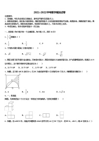 2022届广西壮族自治区南宁市天桃实验校中考猜题数学试卷含解析