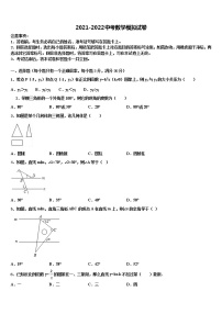 2022届安徽省合肥市第四十二中学中考押题数学预测卷含解析