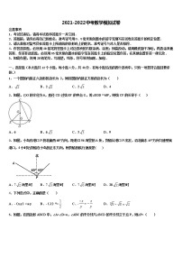 2022届北京市北京师范大附属实验中学中考数学适应性模拟试题含解析