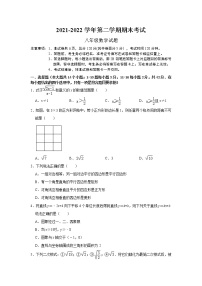 河北省石家庄市辛集市2021-2022学年八年级下学期期末考试数学试题