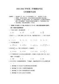 河北省石家庄市辛集市2021-2022学年七年级下学期期末考试数学试题