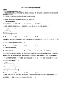 2022届安徽省阜阳地区市级名校中考数学五模试卷含解析