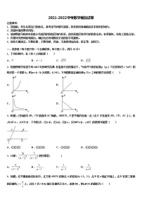 2022届安徽省滁州地区重点中学中考数学模试卷含解析