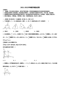 2022届北京师大附中中考数学押题试卷含解析