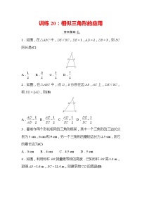 2022年浙江省中考数学复习训练20：相似三角形的应用(含答案)