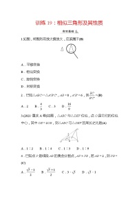 2022年浙江省中考数学复习训练19：相似三角形及其性质(含答案)