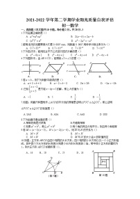 江苏省苏州市高新区2021-2022学年七年级下学期+数学学业阳光质量自我评估试题（无答案）