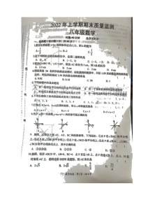 湖南省岳阳市岳阳县2021-2022学年八年级下学期期末质量监测数学试题（无答案）