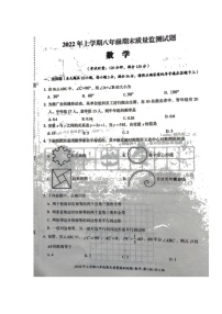 湖南省娄底市新化县2021-2022学年八年级下学期期末质量监测数学试题（无答案）