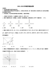 2021-2022学年内蒙古自治区呼伦贝尔市、兴安盟达标名校中考数学适应性模拟试题含解析