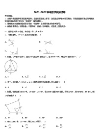 2022届河南省新密市重点达标名校初中数学毕业考试模拟冲刺卷含解析