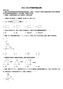 2022届黑龙江省绥化市名校中考数学模试卷含解析