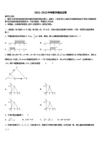 2022届河西成功校中考数学仿真试卷含解析