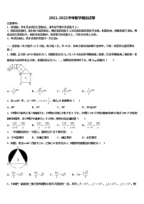 2022届湖北省黄石市江北中学中考数学适应性模拟试题含解析