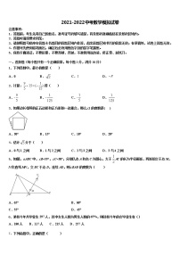 2022届黑龙江省齐齐哈尔市昂昂溪区市级名校中考猜题数学试卷含解析