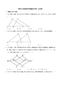 专题19图形的平移翻折对称备战2023年中考数学必刷真题考点分类专练（全国通用）【解析版】