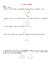 人教版九年级上册第二十三章 旋转23.1 图形的旋转第2课时当堂达标检测题