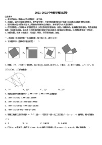 2022届湖南省岳阳市名校中考数学仿真试卷含解析