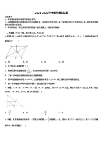 2022届湖南长沙青竹湖重点中学中考数学适应性模拟试题含解析