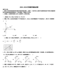 2022届吉林省白城市中考数学模拟预测题含解析