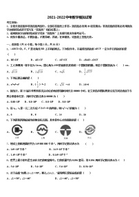 2022届湖南省浏阳市部分校中考数学对点突破模拟试卷含解析