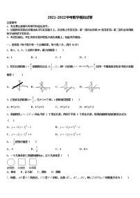 2022届湖北省枣阳市阳光中学中考数学最后冲刺浓缩精华卷含解析